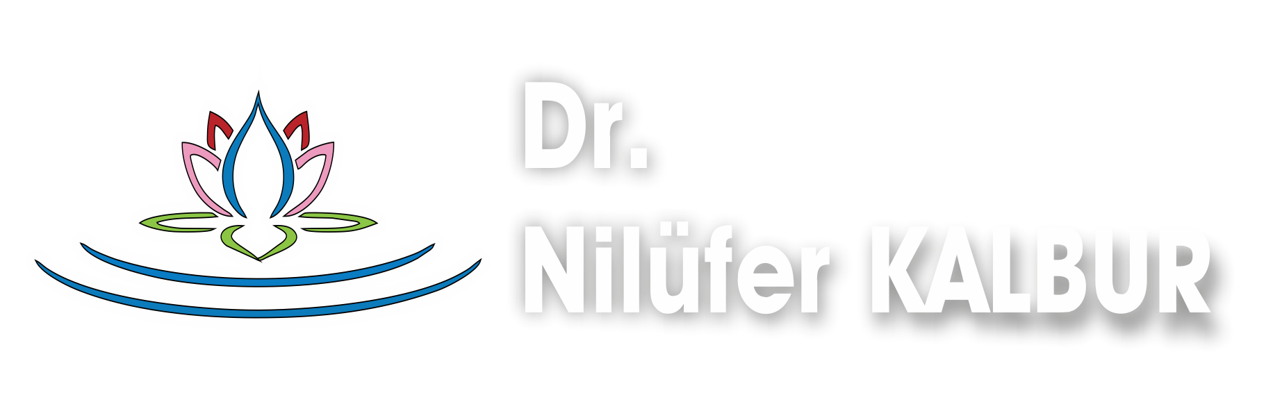 logo-img